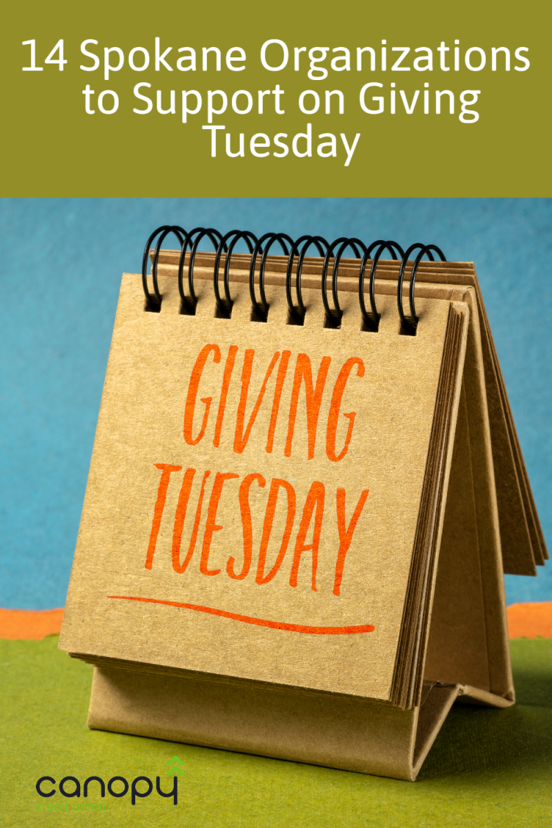 14 Spokane Non Profit Organizations to Help and Give to On Giving Tuesday and Beyond