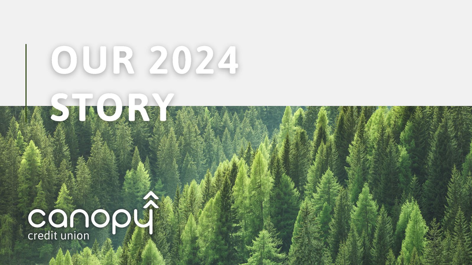 our 2021 story