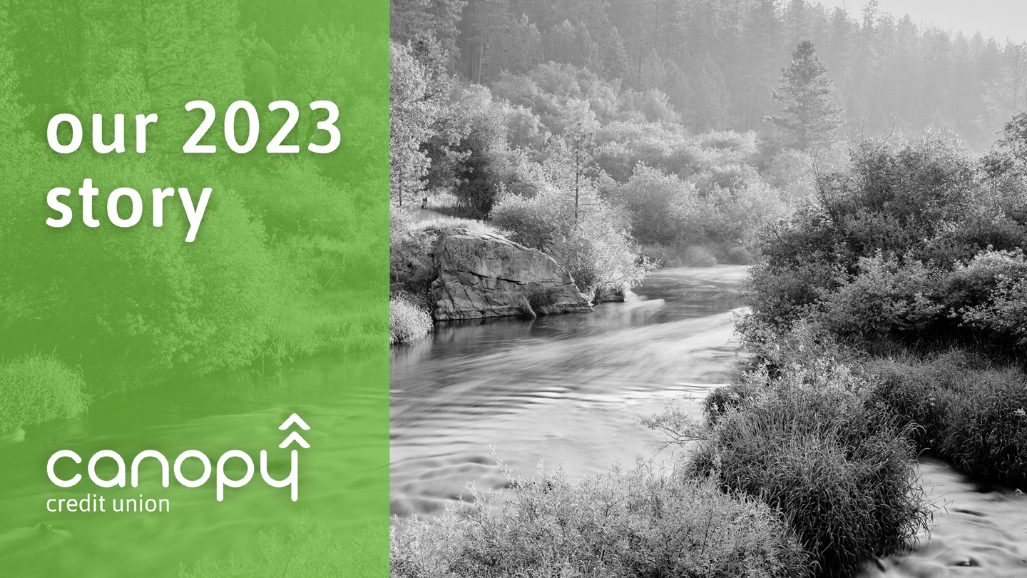 our 2021 story