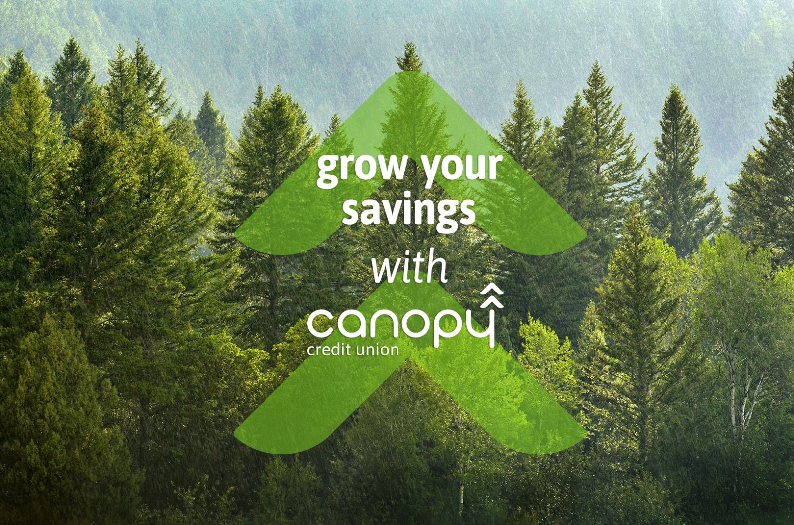grow your savings with Canopy Credit union term share 18 month special