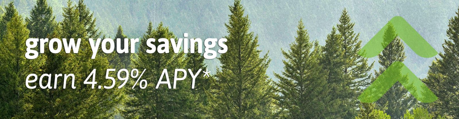 grow your savings with canopy and earn 4.59% APY