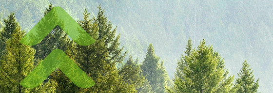 Photograph of nature with Canopy watermark